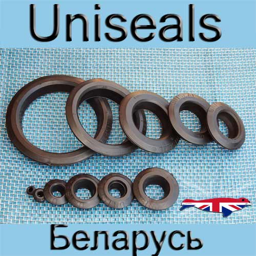 Uniseals in Belarus