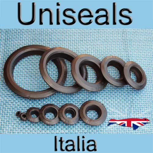 Uniseals in Italia