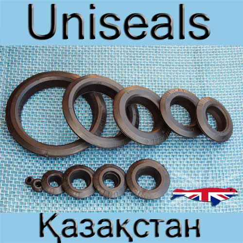 Uniseals in Kazakhstan