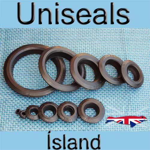 Uniseals-á-Ísland