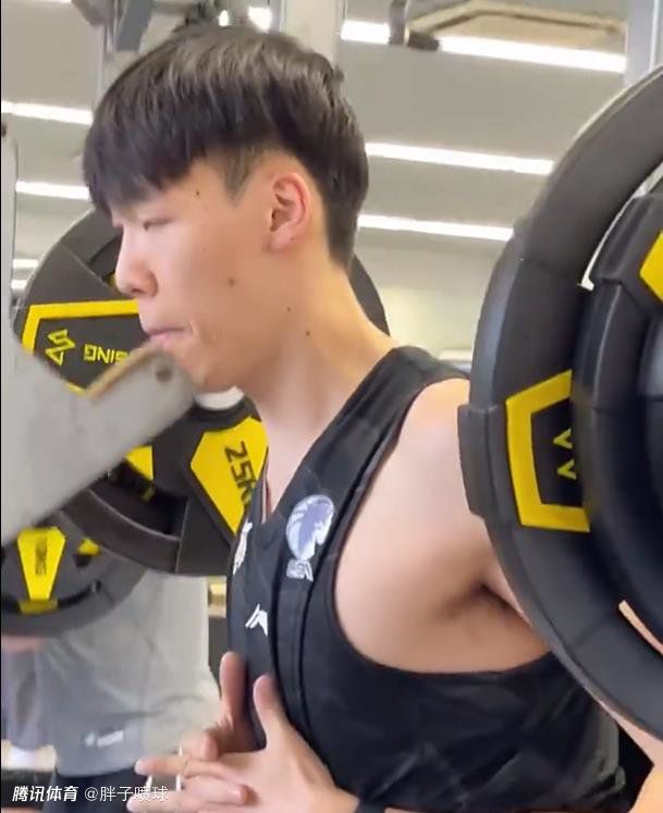 cf月兔透视