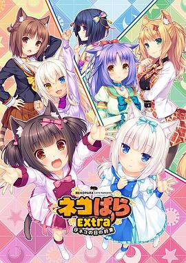 91视频苹果版