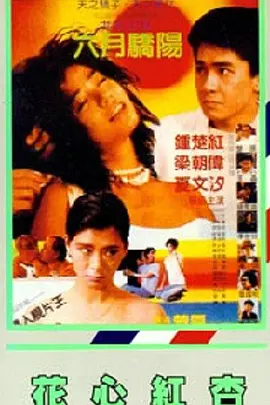 好心布衣天下二合一