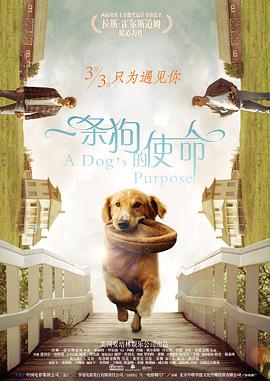 小伸进老师