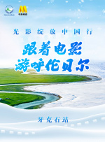 手机毛片在线观看