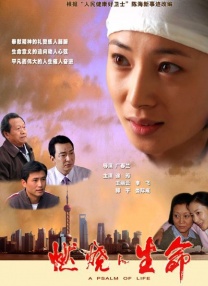 波多影视