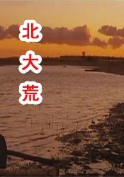 娇喘虐囚禁调教h