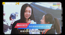 东北少妇av在线播放